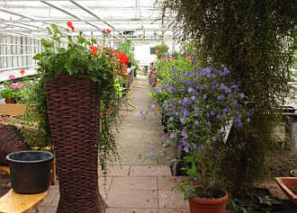 Foto: Johannes Schmidt